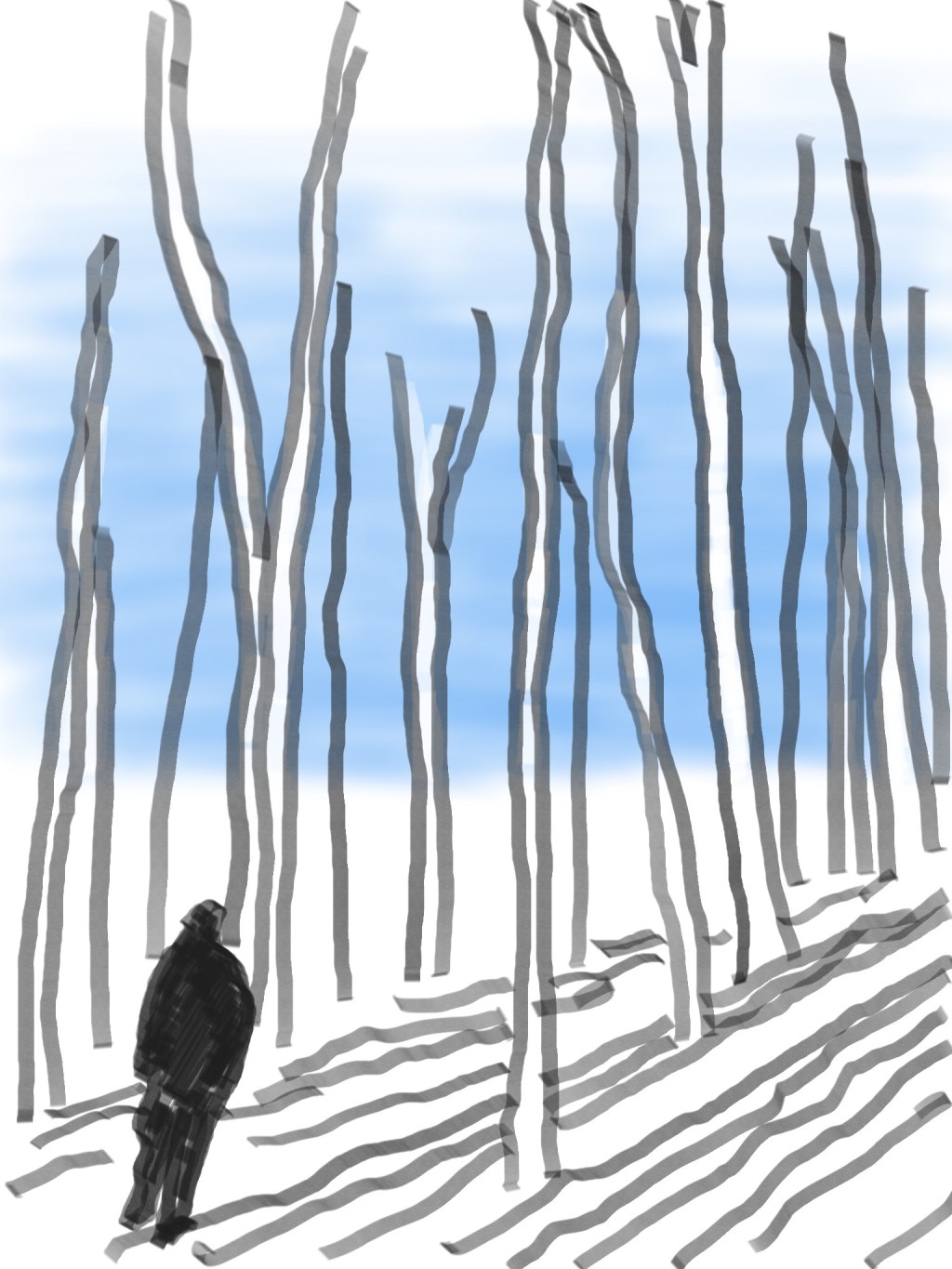 New Years on the&nbsp;AT