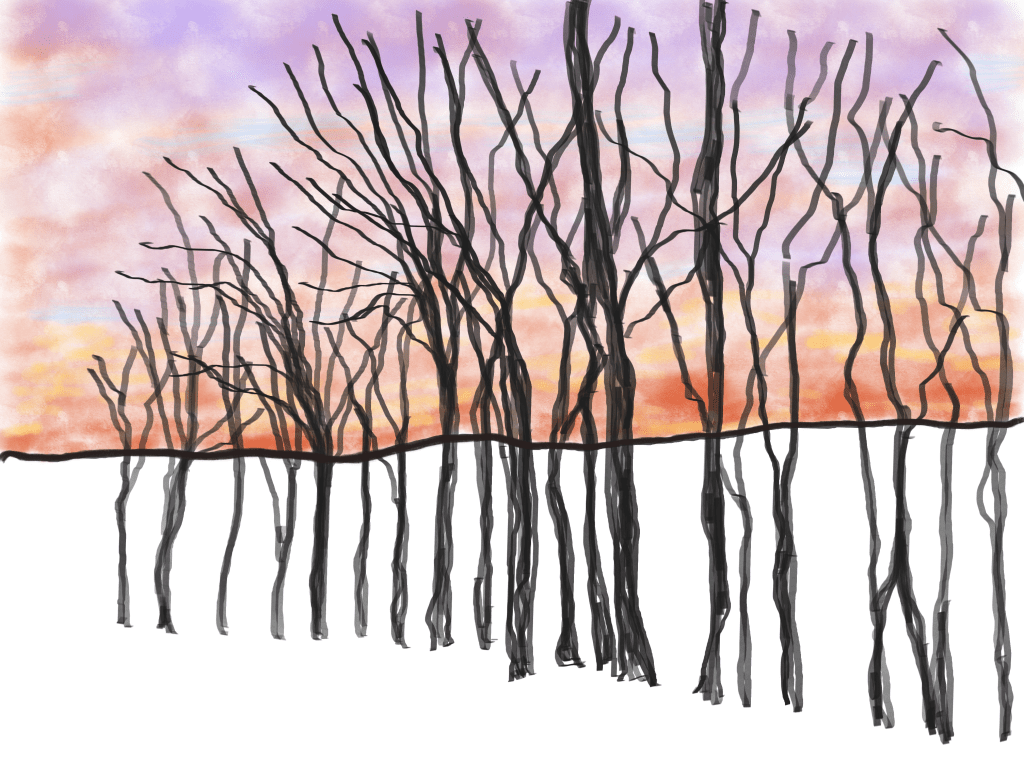 Sunset Run Along the Western&nbsp;Ridge